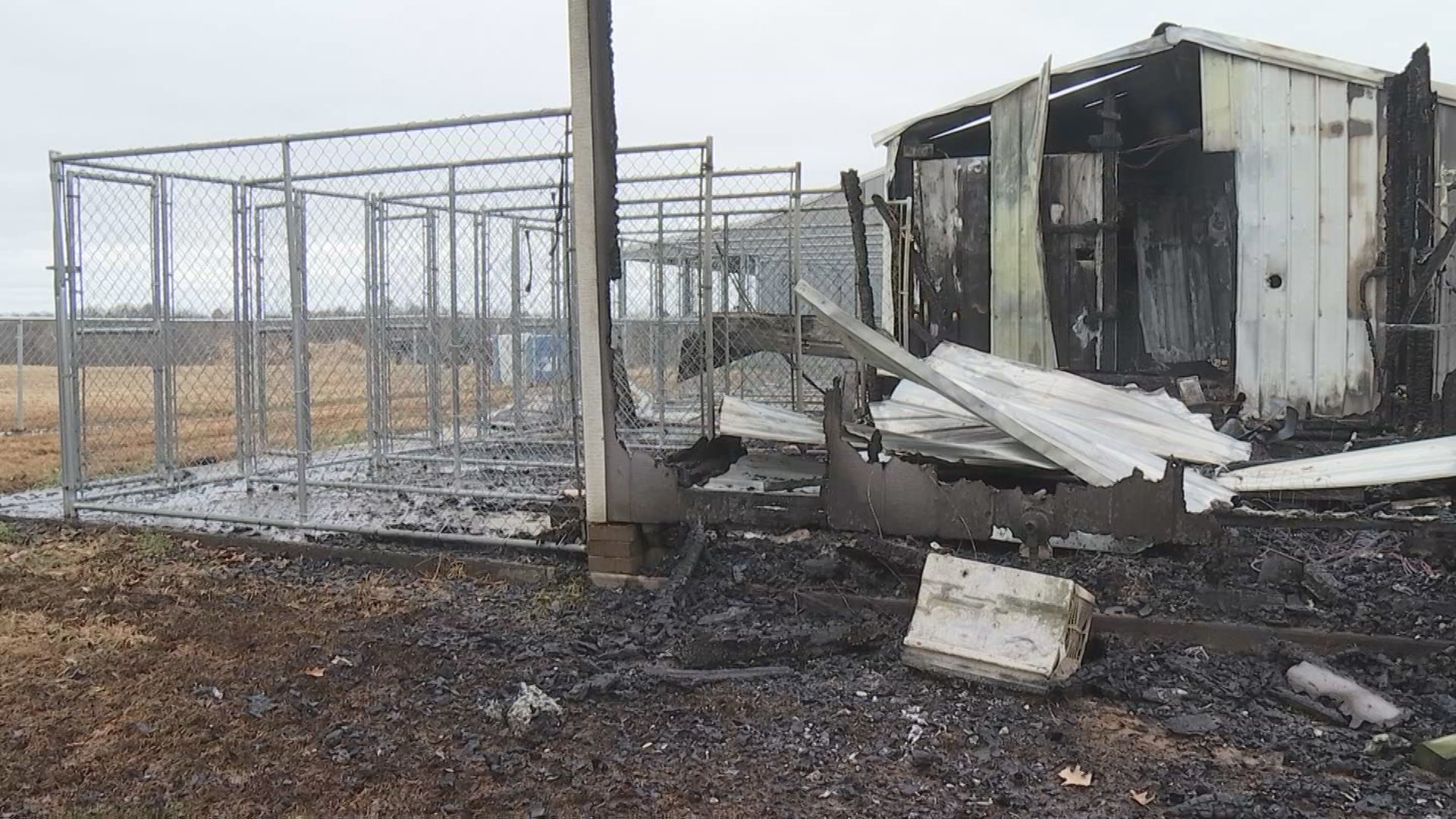 Dog kennel fire